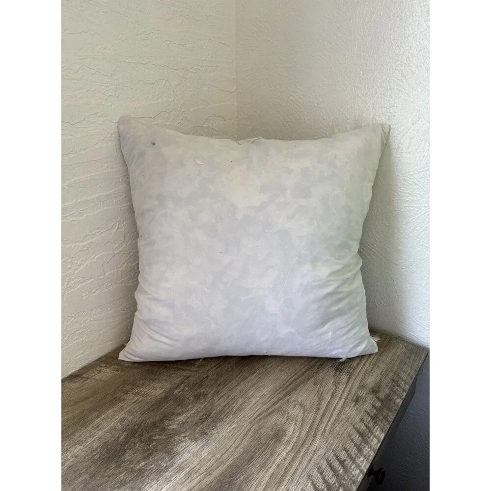 100% Feathers Throw Pillow Insert 21 X 21
